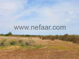 فروش زمین هکتاری قواره اول ساحل در سرخرود
