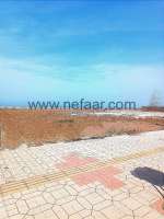 فروش زمین هکتاری قواره اول ساحل در سرخرود