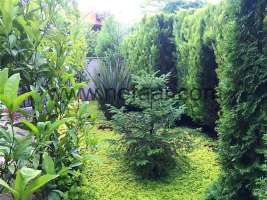 ویلا ساحلی در درویشآباد سرخرود