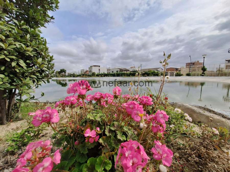 واحد شمالی در برج پزشکان سرخرود