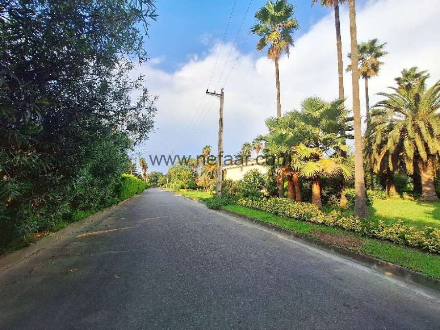 زمین در شهرک خانه دریا سرخرود