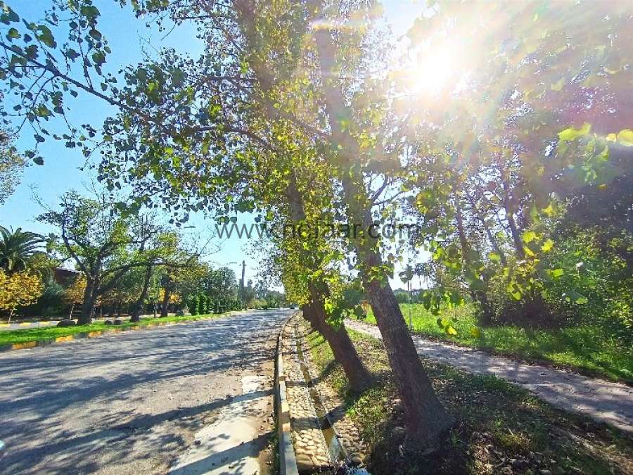 زمین در شهرک خانه دریا سرخرود