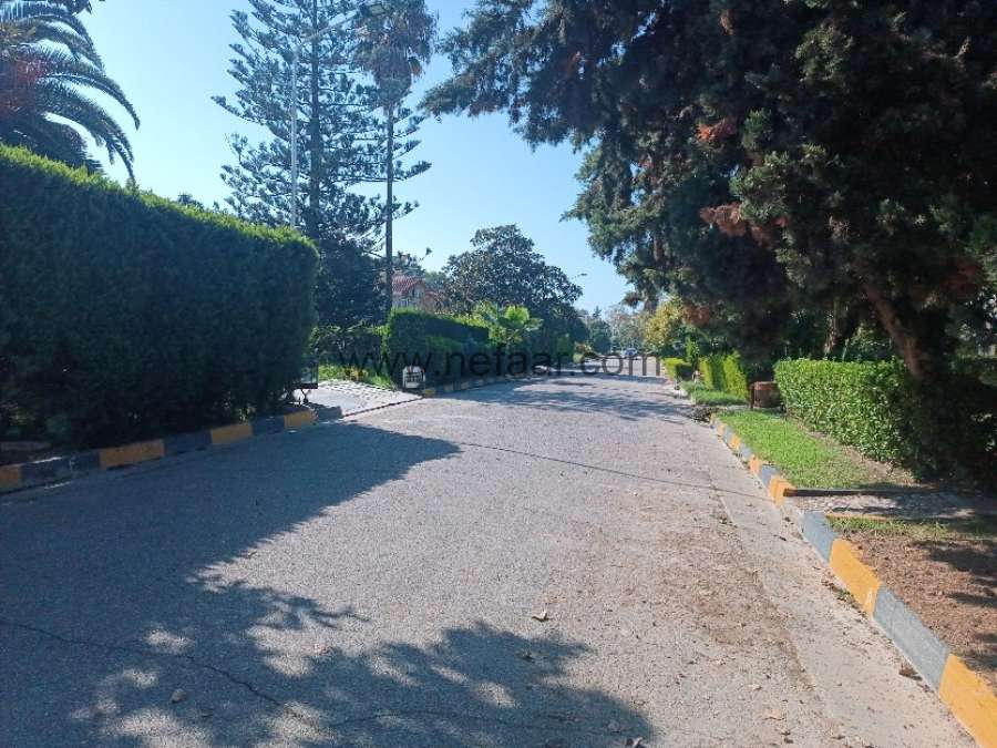 زمین در شهرک خانه دریا سرخرود