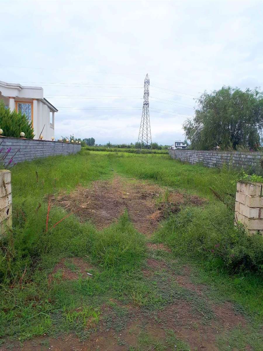 خرید زمین در سرخرود