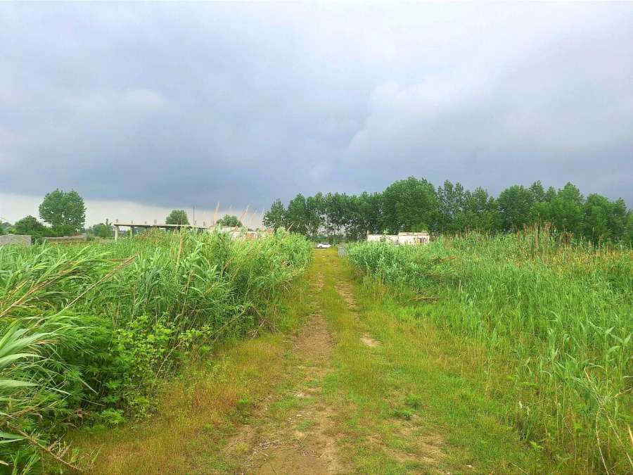 زمین ارزان در سرخرود ، مناسب سرمایهگذاری