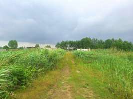 زمین ارزان در سرخرود ، مناسب سرمایهگذاری