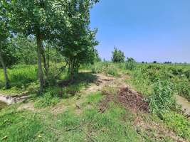 خرید زمین در سرخرود ، سرمایه گذاری