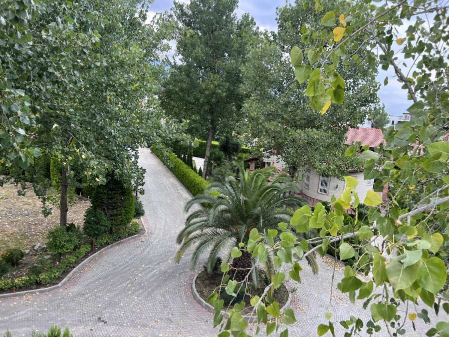زمین شهرکی با دید جنگل در رویان