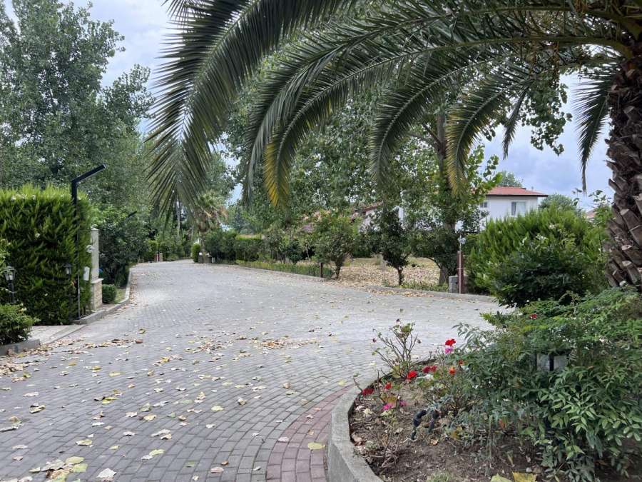 زمین شهرکی با دید جنگل در رویان