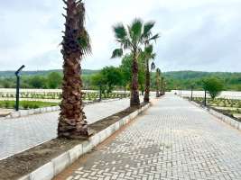 زمین شهرکی قواره اول جنگل در رویان