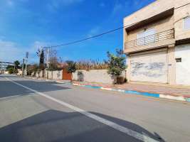 زمین مسکونی با سند شش دانگ در سرخرود