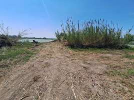 زمین ارزان در شهر سرخرود