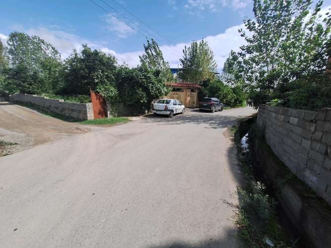 زمین جنگلی با کاربری مسکونی و سند شش دانگ در آمل