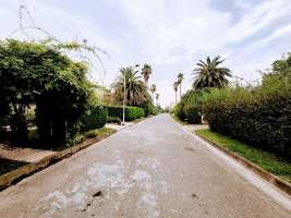 خرید زمین ساحلی در شهرک خانه دریا سرخرود