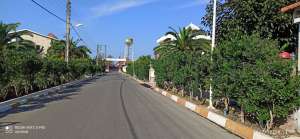 فروش زمین شهرکی در سرخرود