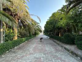 خرید زمین شهرکی در سرخرود