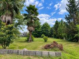 <div class='tp_title'>خرید زمین ساحلی در سرخرود</div><div class='tp_desc'>سلام
وقتتون بخیر
امیدوارم ایام بکامتون باشه
با معرفی یه زمین ساحلی در سرخرود همراهتون هستم .
مشخصات زمین :
450 متر
16 متر بر
کاربری مسکونی
سند تک برگ
جهت خرید یا کسب اطلاعات بیشتر با من تماس بگیرید .
...</div><div class='row_location'><div class='row_title'>آدرس</div><div class='tp_location'>بافت شهری سرخرود<br />سرخرود</div></div><div class='row_contact'><div class='row_title'>اطلاعات تماس</div><div class='tp_contact'>بهنام علیپور</div></div><div style='clear:both'></div><div class='title'>تصاویر</div><div class='images_box'><img src='/components/com_djclassifieds/images/item/1/1600_chatgpt-image-sep-18-2026-01_46_13-pm-scaled_ths.jpg' width='267' height='200' /><img src='/components/com_djclassifieds/images/item/1/1600_chatgpt-image-sep-25-2026-04_27_42-pm-1-scaled_ths.jpg' width='267' height='200' /></div><div style='clear:both'></div> خرید زمین ساحلی در سرخرود